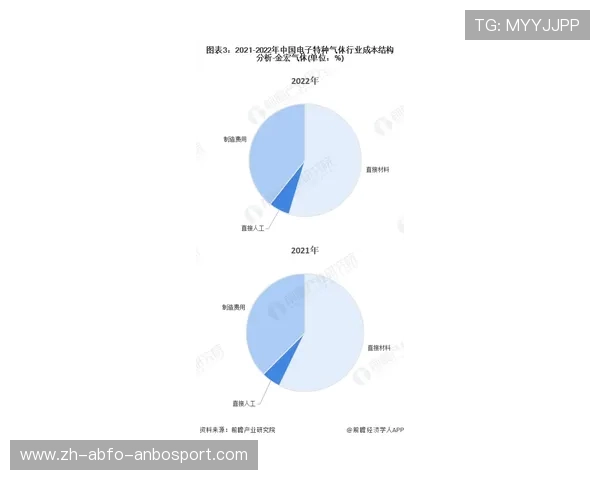 德甲球队是否存在降级机制及影响分析