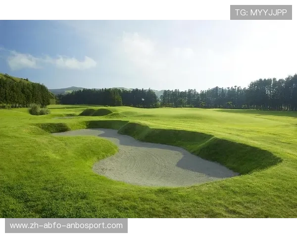 卡梅隆-杨如何放弃高得离谱期待成就非凡高尔夫之路